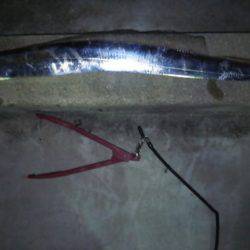 タチウオ何とか１つ